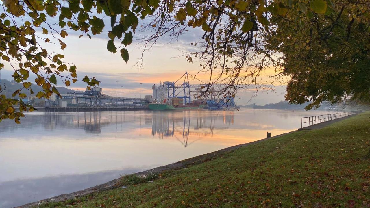 Radisson Blu Hotel & Spa, Little Island Cork Carrigtohill Exteriér fotografie